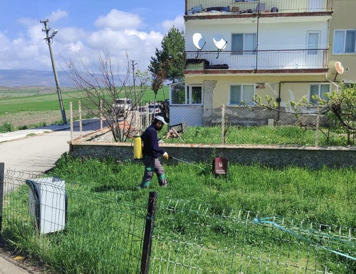 Güdül'de haşereyle mücadele çalışması başlatıldı