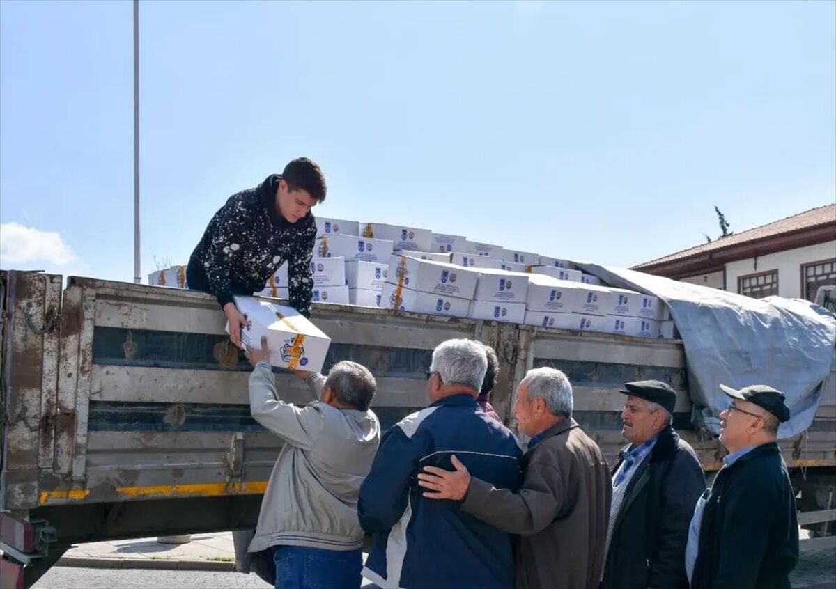 Nallıhan'da üreticilere arı yemi desteği