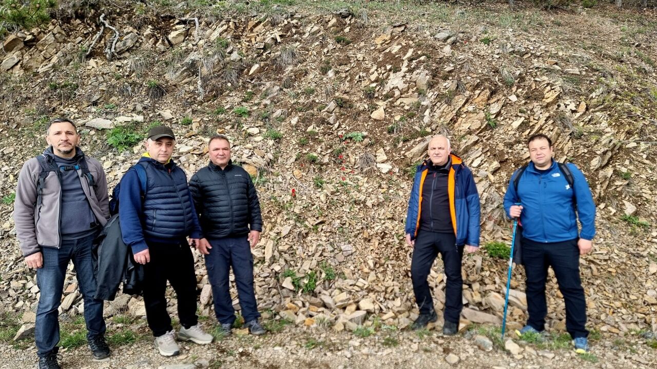 Kızılcahamam'da yılda 15 gün görülen dağ lalesi açtı
