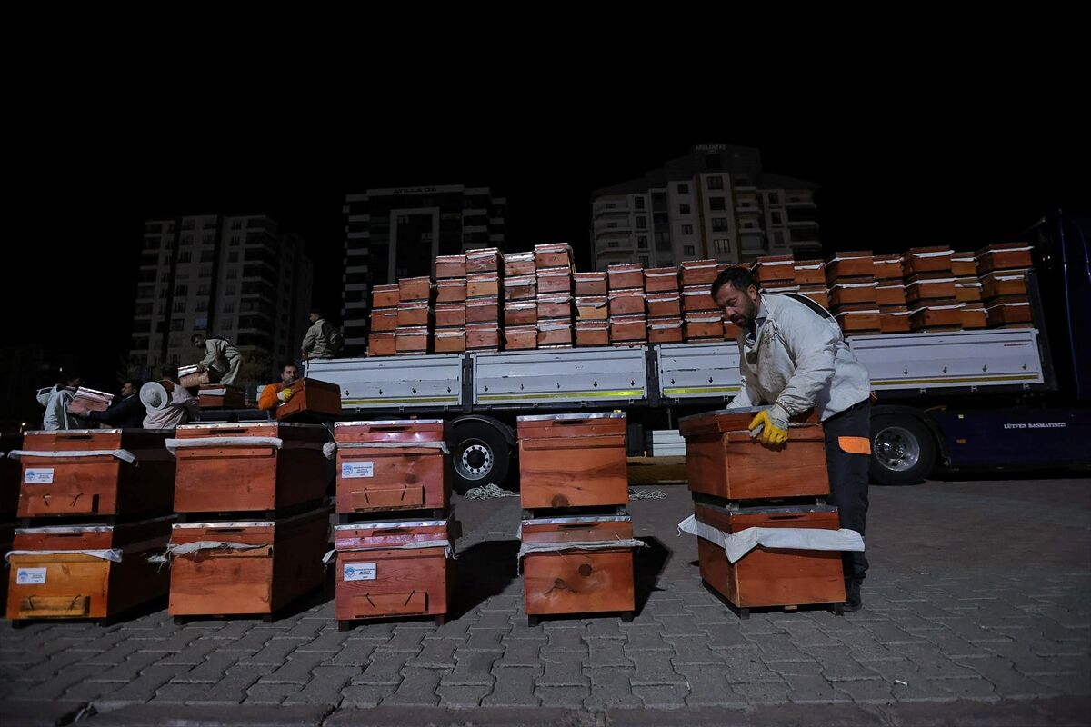 Kayserili üreticilere arılı kovan dağıtıldı