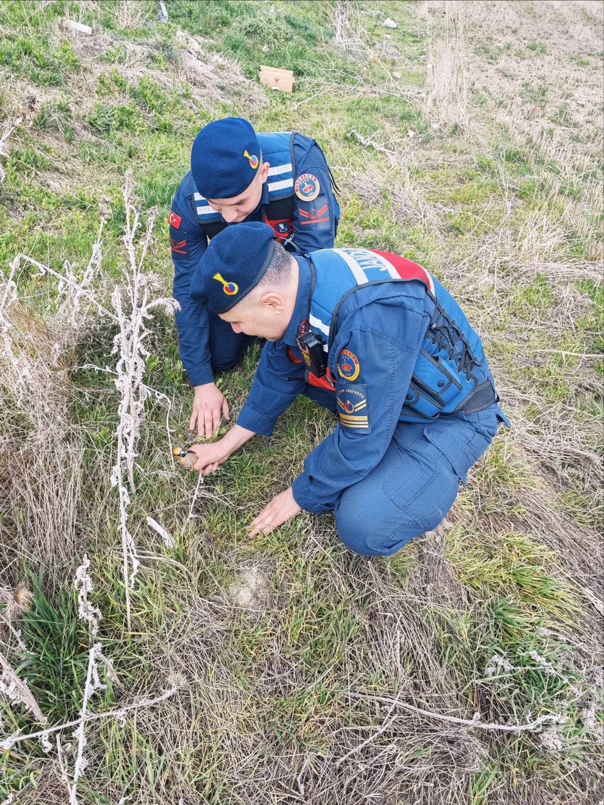 Yozgat'ta jandarmanın bulduğu yaralı kocabaş kuşu tedaviye alındı