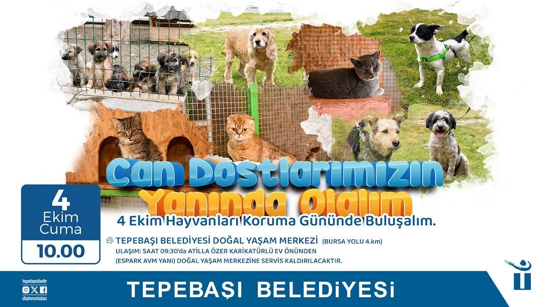Can Dostlarla Buluşma