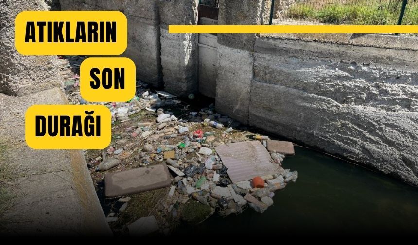 Herkes üzerine düşeni yapsın!