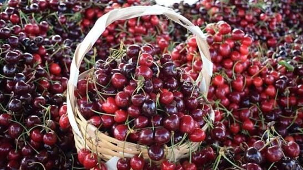 images-12-9 images-12-9