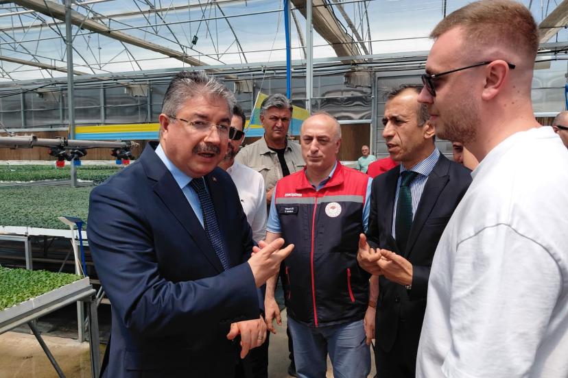 Vali Yılmaz Fide Üretim Tesisini Ziyaret Etti