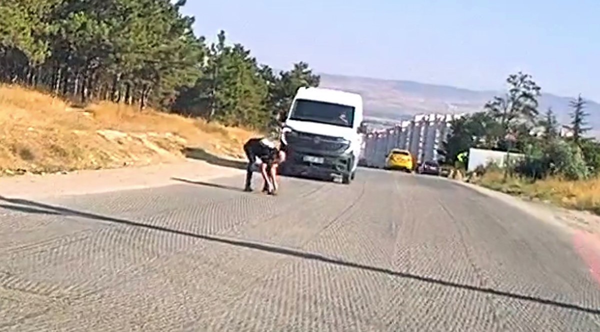 Eskişehir’de sürücü kaplumbağayı ezilmekten kurtardı