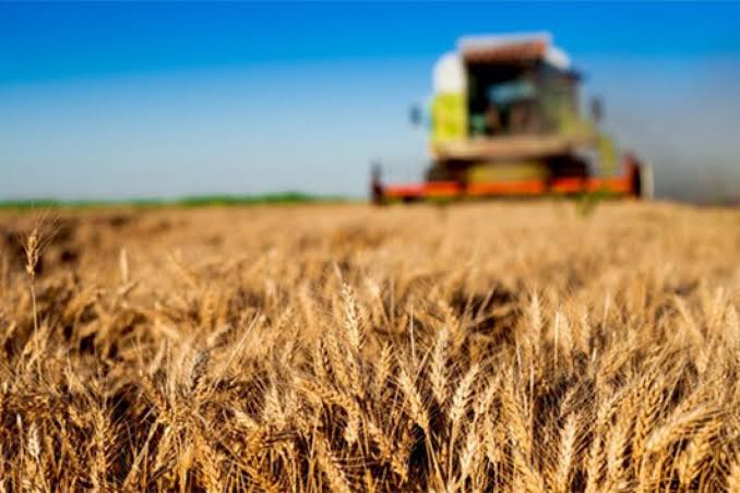 Çiftçilere 165 Milyon Liralık Tarımsal Destek Ödemesi Başladı