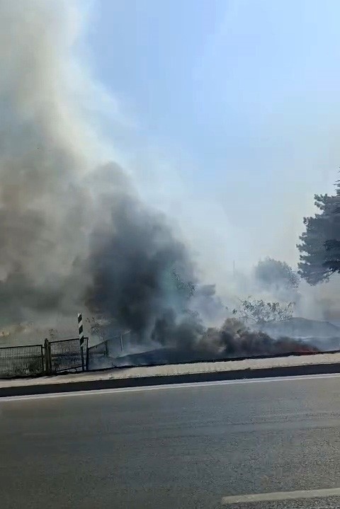 Eskişehir'de otluk alanda yangın