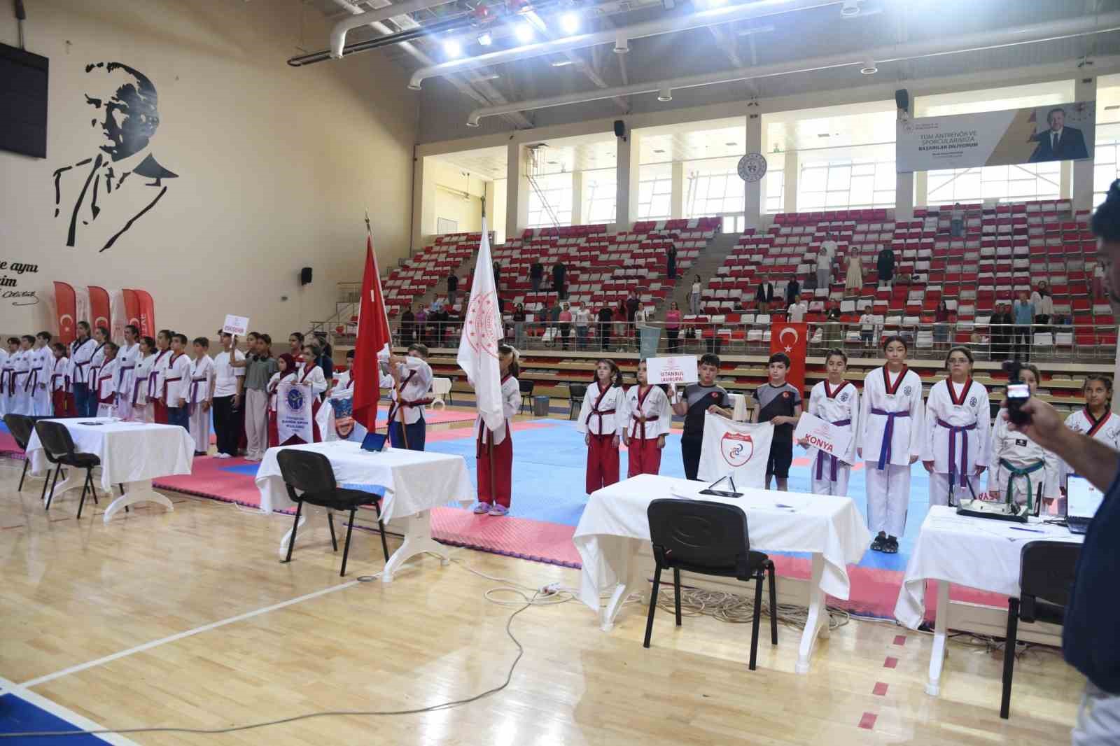 Eskişehir’de 2’inci İller Arası Taekwondo Poomsae Turnuvası heyecanı