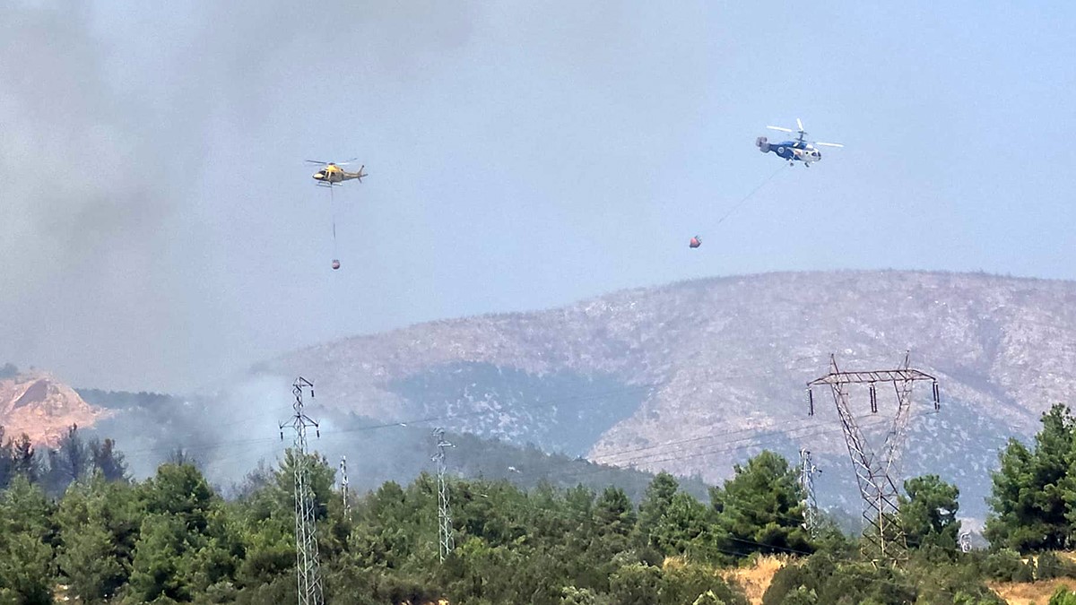 Bilecik’te ormanlık alanda yangın başladı