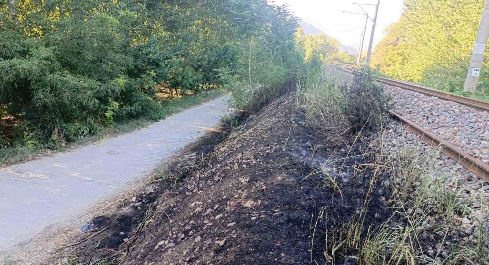 Bilecik’te YHT hattı kenarında yangın çıktı