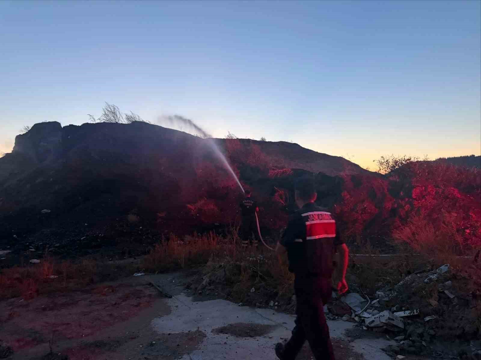 Bilecik’te ot ve çalılık yangını