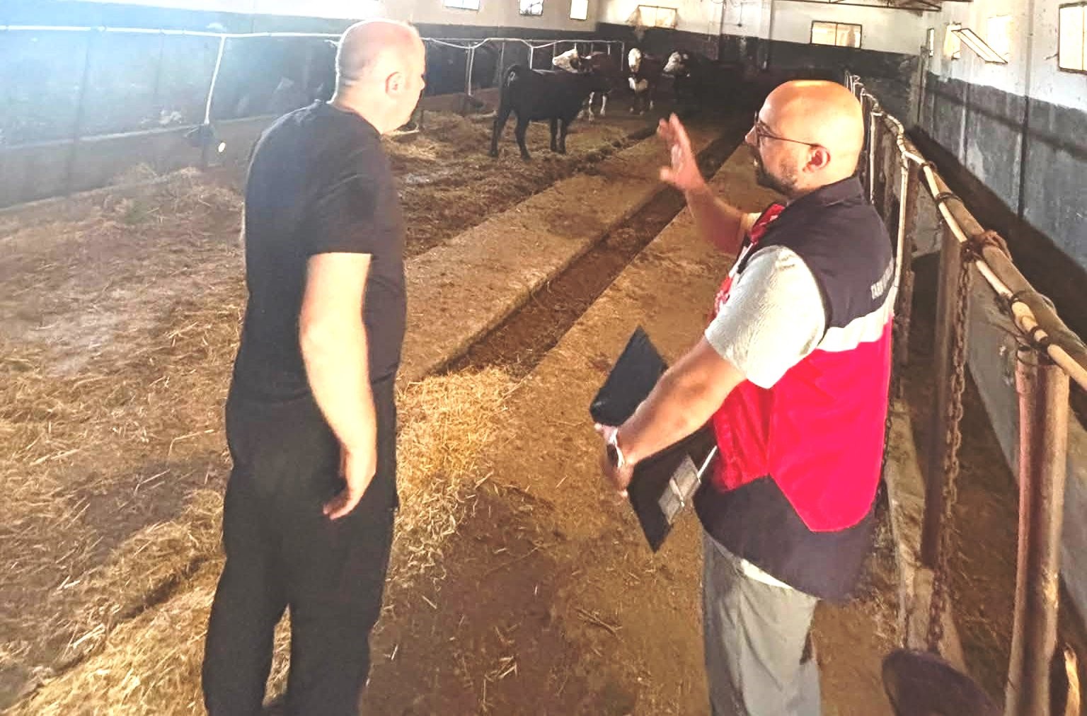 Tavşanlı’da Destek Projesi kapsamındaki ithal hayvanlar kontrolden geçirildi