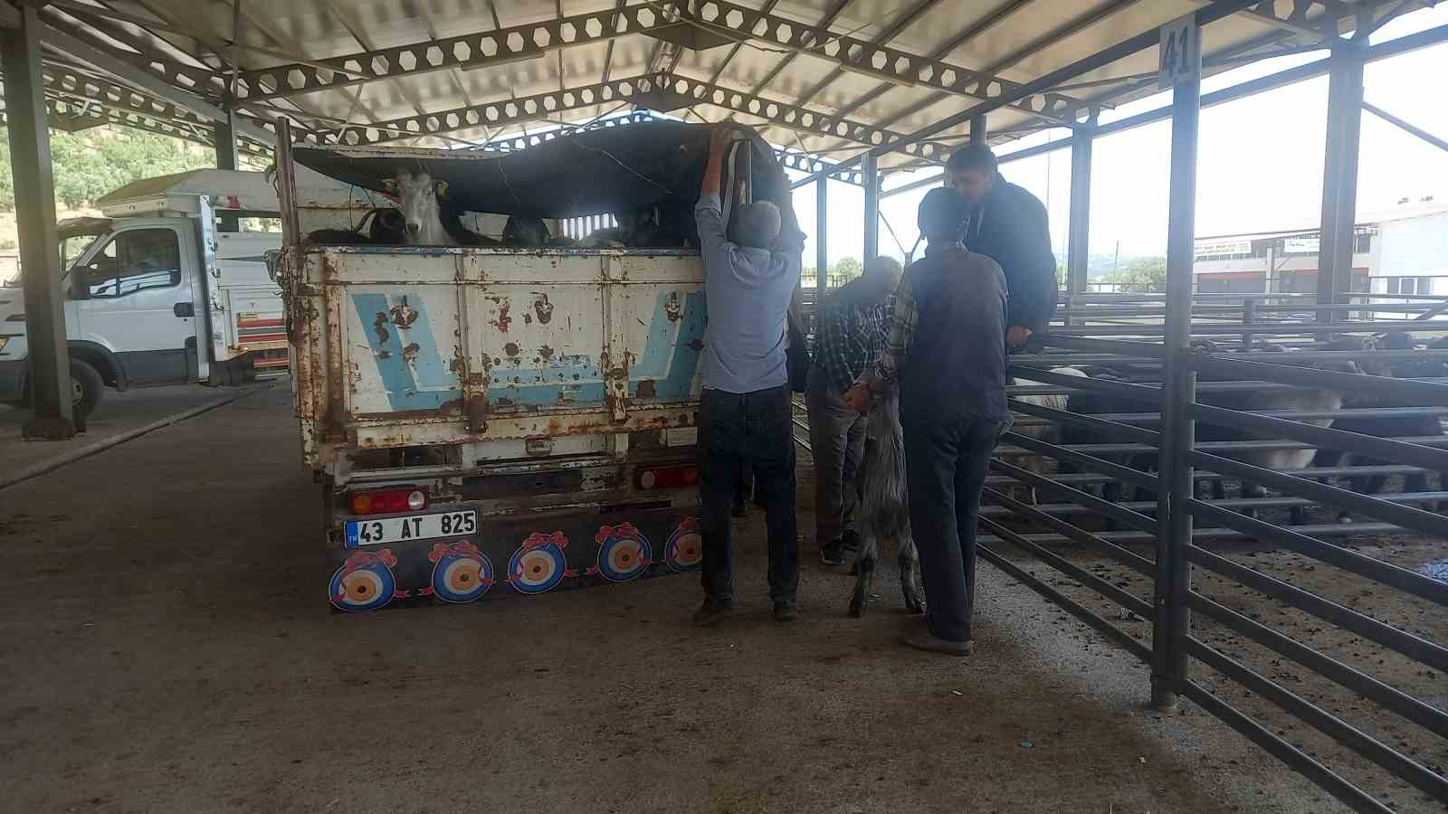 Gediz Belediyesi hayvan pazarı pazartesi günleri kurulacak