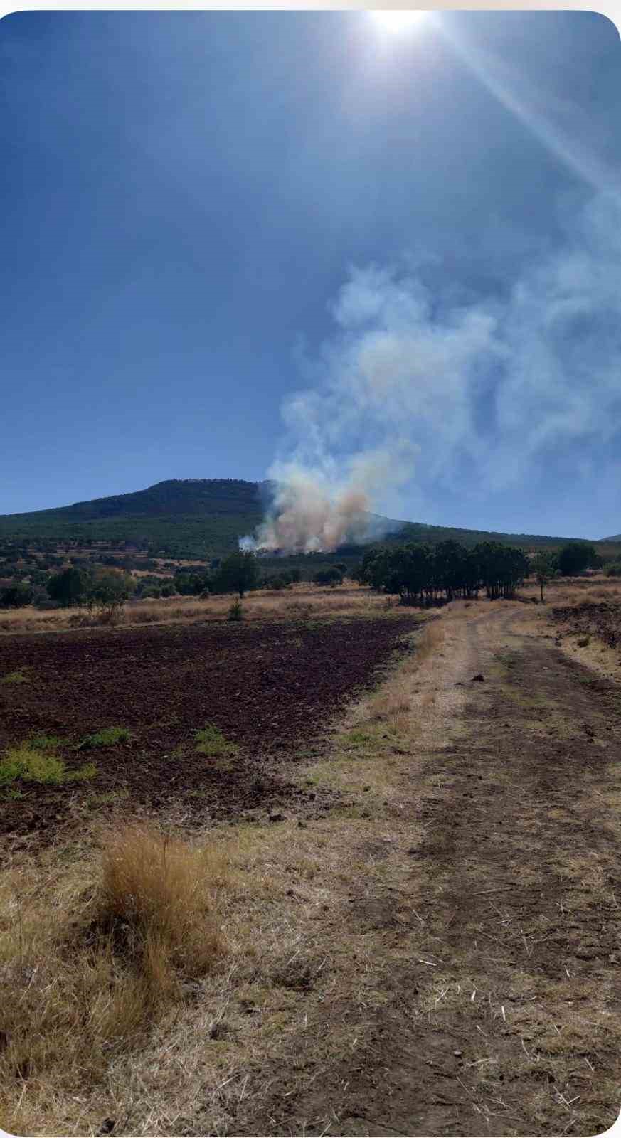 Eskişehir’de ormanlık alanda çıkan yangın kontrol altına alınmaya çalışılıyor