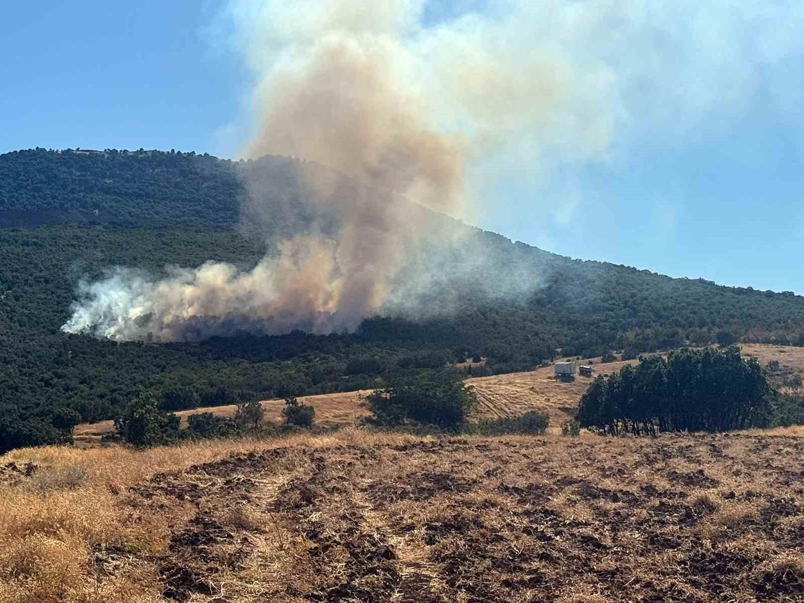 Mihalıççık’ta orman yangınına müdahale sürüyor