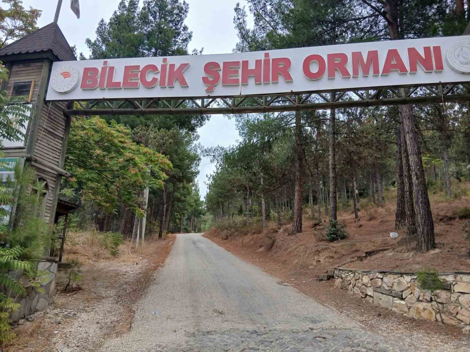 Bilecik Şehir Ormanı’nın yolları köstebek yuvasına döndü