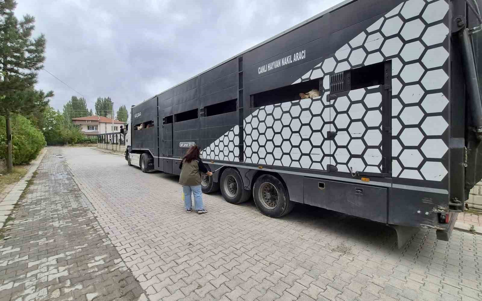 Afyonkarahisar’da hayvan sevklerine yönelik kontroller sürüyor