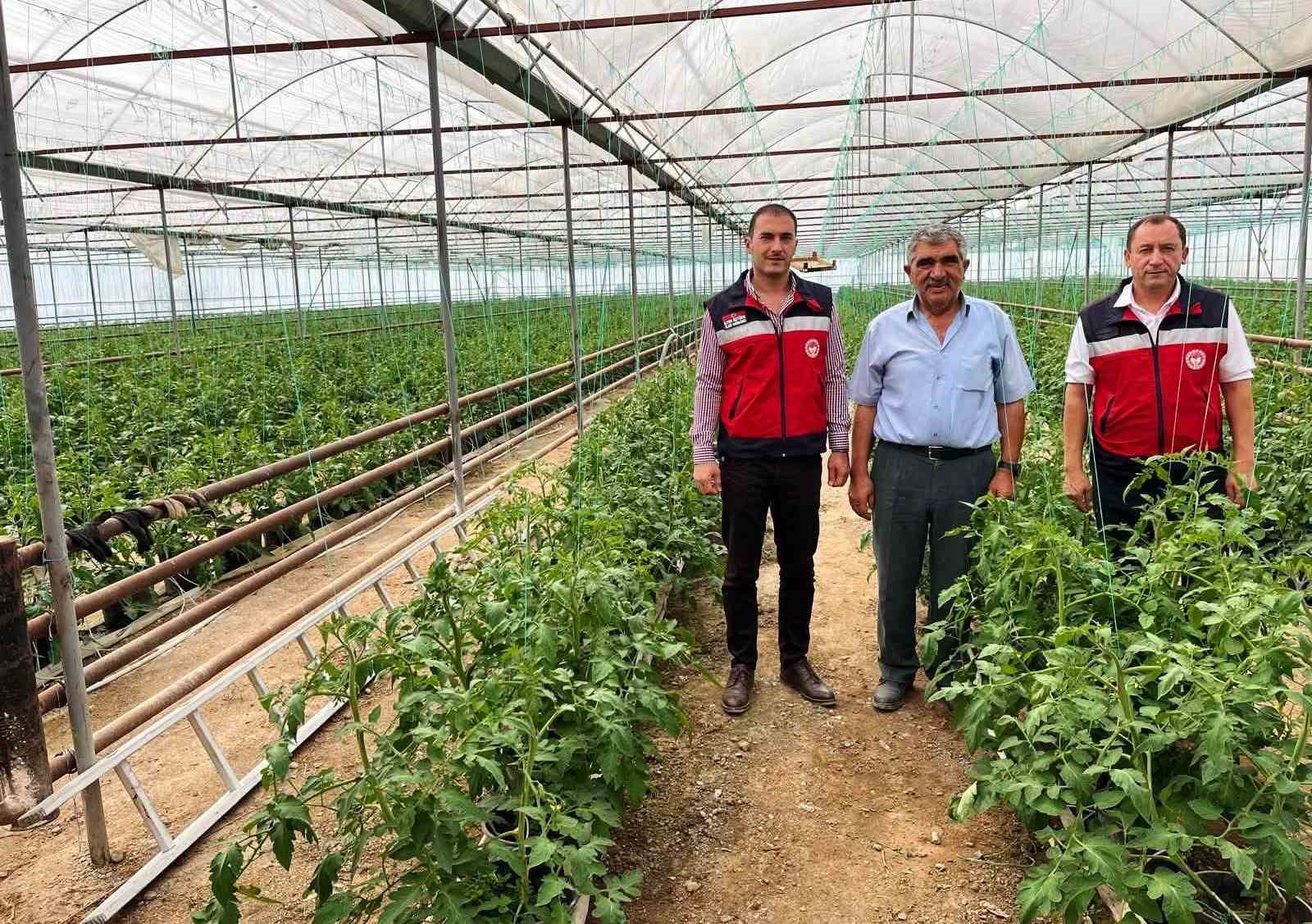 Simav’da seracılık faaliyetleri yerinde incelendi