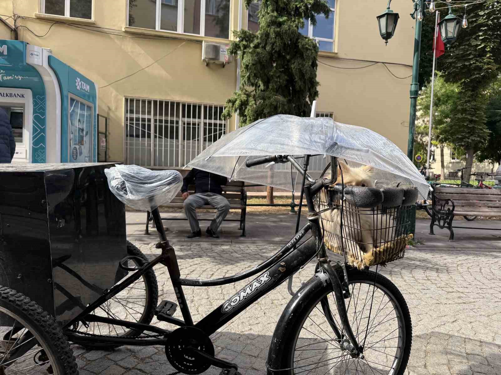 Bisiklet sepetindeki köpeğini yağmurdan şemsiye ile korudu