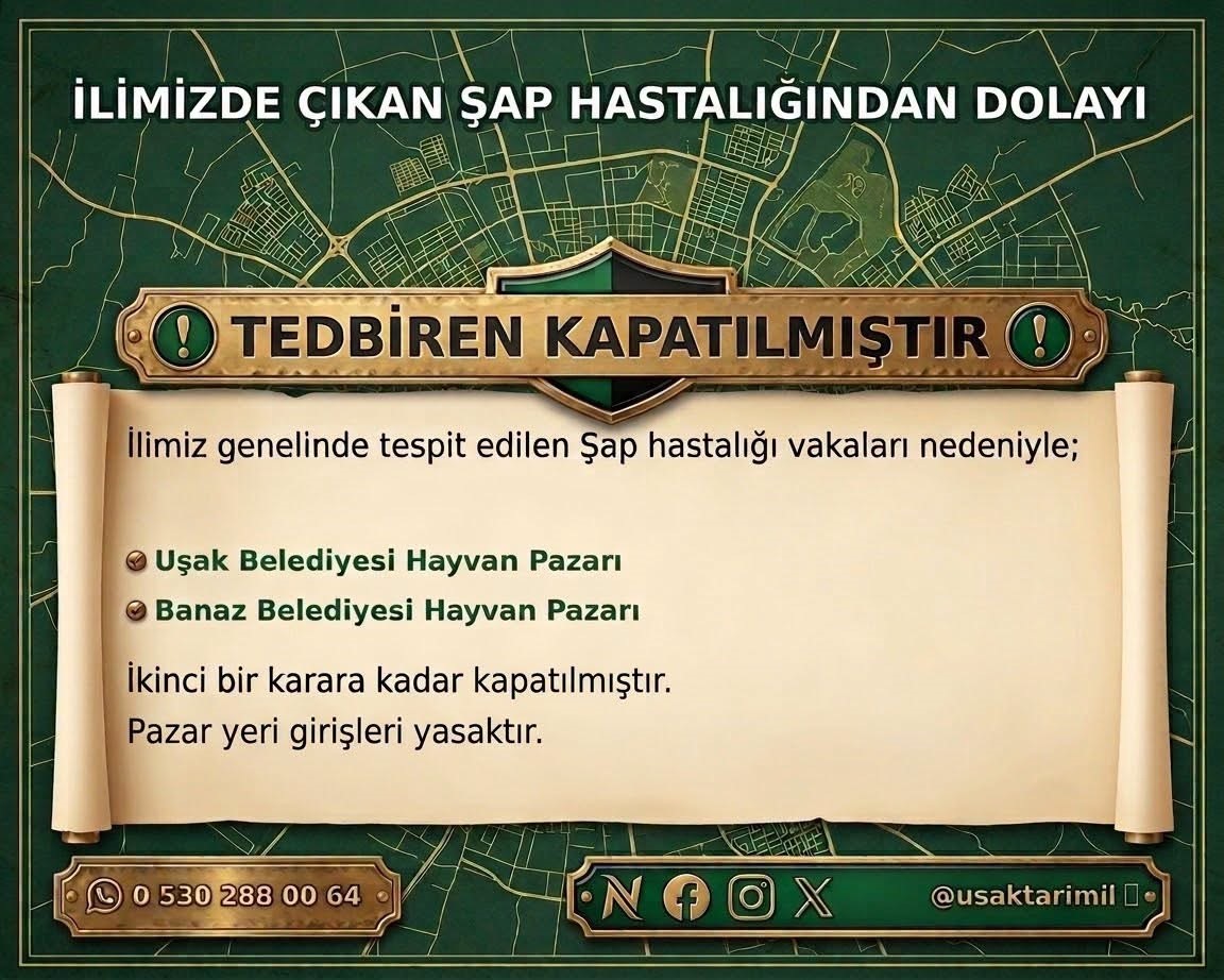Uşak’ta hayvan pazarları şap hastalığı nedeniyle kapatıldı