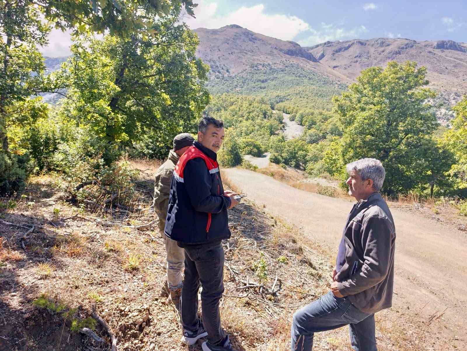Kaybolan 9 büyükbaş hayvan dron ile bulundu
