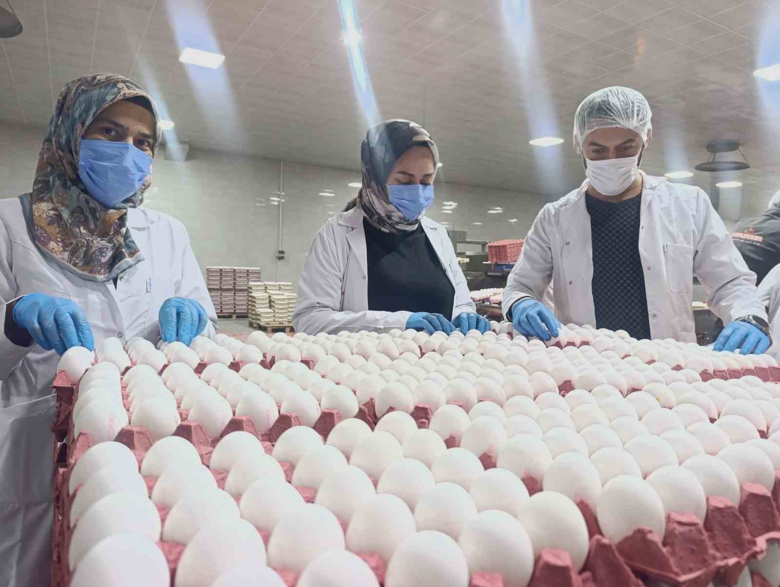 Yumurta fiyatlarına kısa vadede zam beklenmiyor