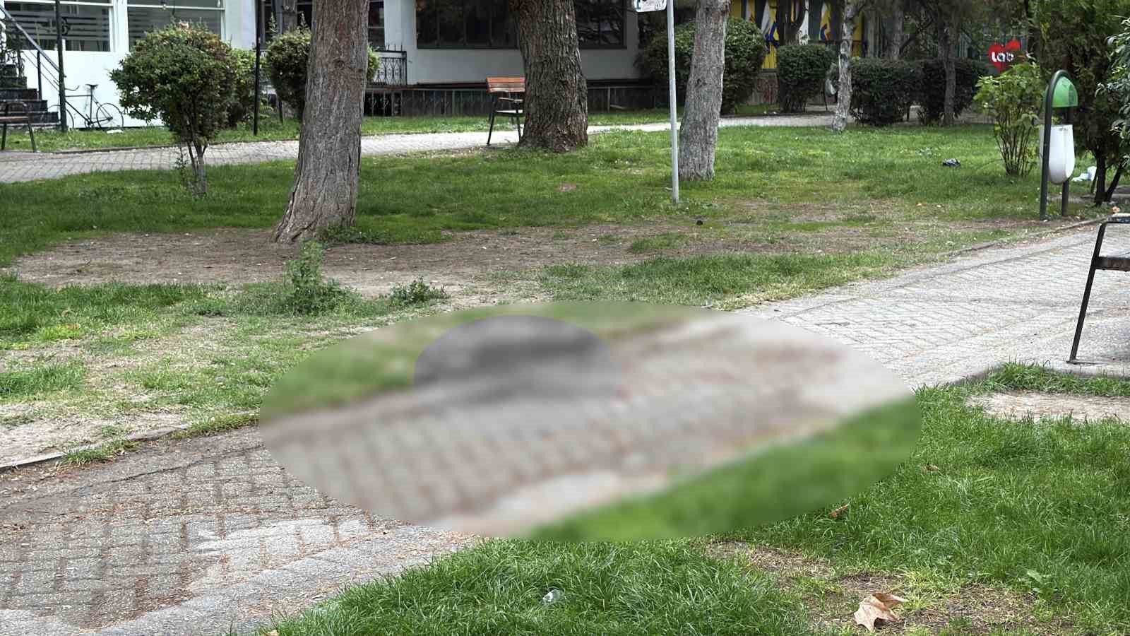 Alkol içerken çıkan tartışma cinayetle bitti