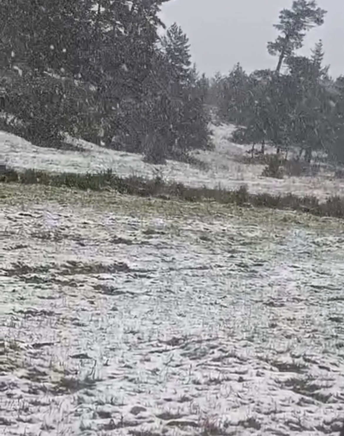 Eskişehir Alpu ilçesinde kar yağışı etkili oldu