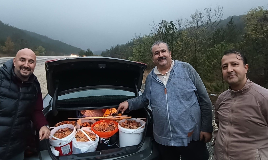 Kütahya’dan Bursa dağlarına mantar toplamaya gittiler