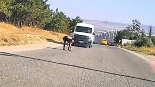 Eskişehir’de sürücü kaplumbağayı ezilmekten kurtardı