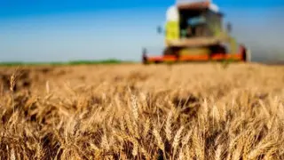 Çiftçilere 165 Milyon Liralık Tarımsal Destek Ödemesi Başladı