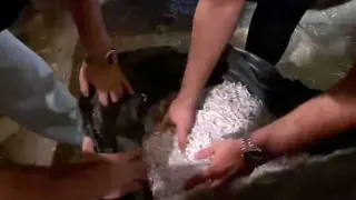 Alihan Kuriş Soruşturmasında Evrak İmha İhbarı Doğrulandı