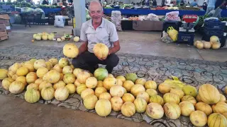 Hisarcık’ta yerli kavunlar kapış kapış satılıyor