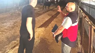 Tavşanlı’da Destek Projesi kapsamındaki ithal hayvanlar kontrolden geçirildi