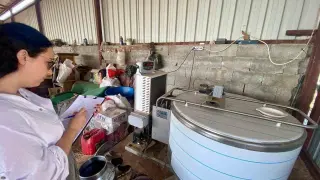 Evciler’de hayvancılık işletmelerine yönelik denetim
