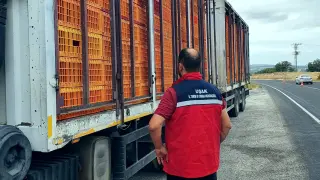 Uşak’ta hayvan hastalıklarına karşı yol kontrol ve denetimler aralıksız devam ediyor