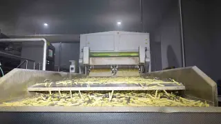 Vali Aktaş patates üretimi tesisini gezdi