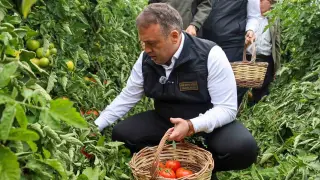Bilecik’te sofralık ve salçalık domates mesaisi