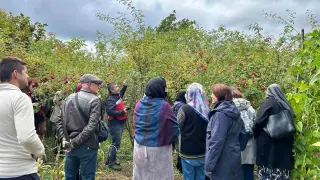 Eskişehirli kadın çiftçiler Kütahya’da üretim alanlarını inceledi