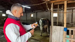 İhsaniye’de şapla mücadele sürüyor