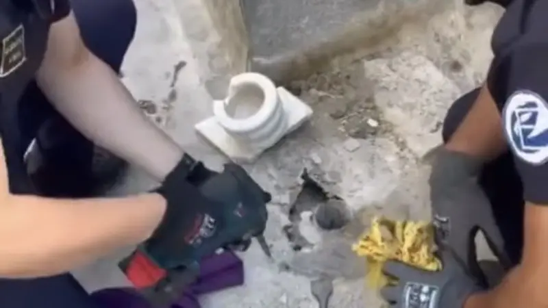 Teras Gider Borusuna Düşen Yavru Kediyi İtfaiye Kurtardı
