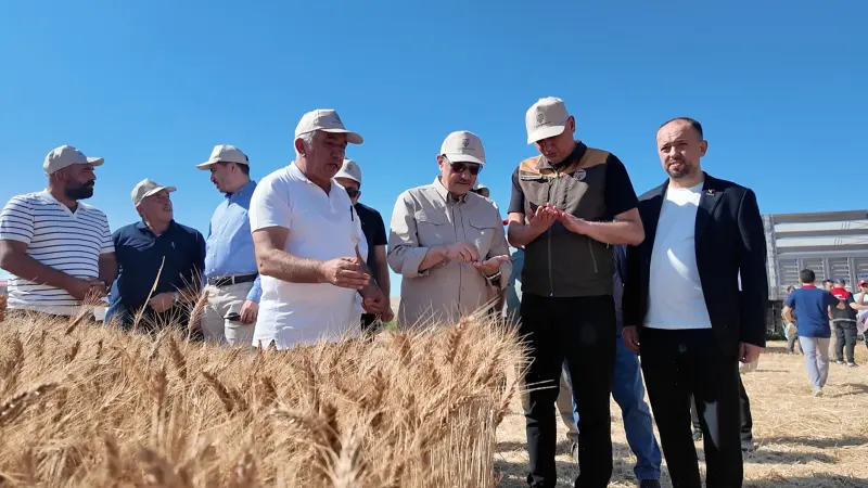 Eski Bakan Fatih Dönmez Eskişehir'de Hasada Katıldı