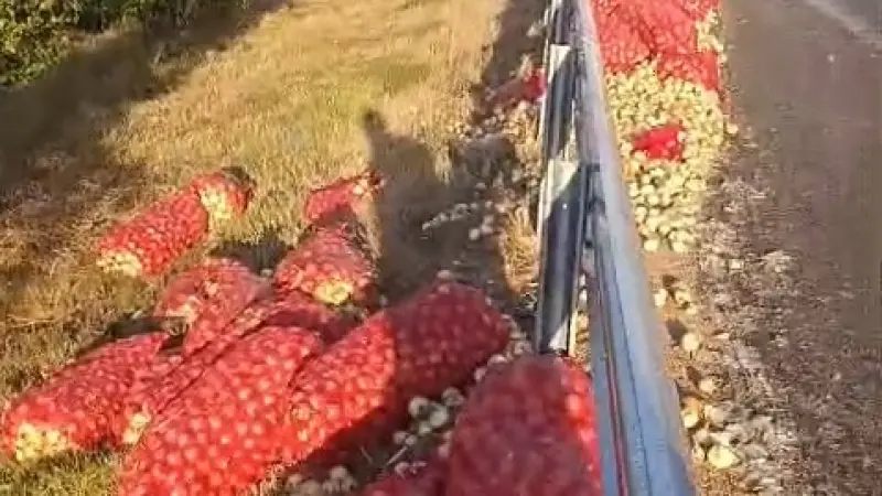 Kamyon devrildi, tonlarca soğan yola saçıldı: 2 yaralı