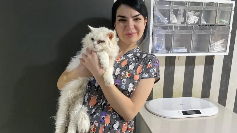 Tatile Çıkarken Evcil Hayvanlara Dikkat