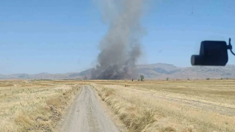 Yangında 100 dekar tarım arazisi zarar gördü