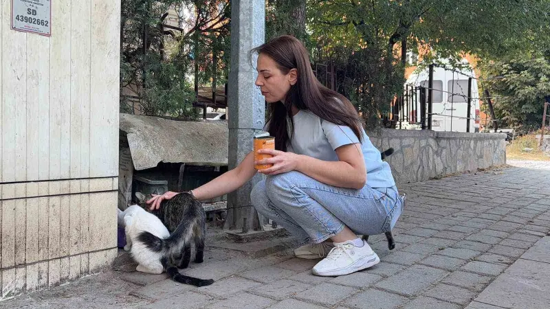 Kütahya’da kedi vahşeti: Başını ve ayaklarını kesip apartmanın önüne bıraktılar