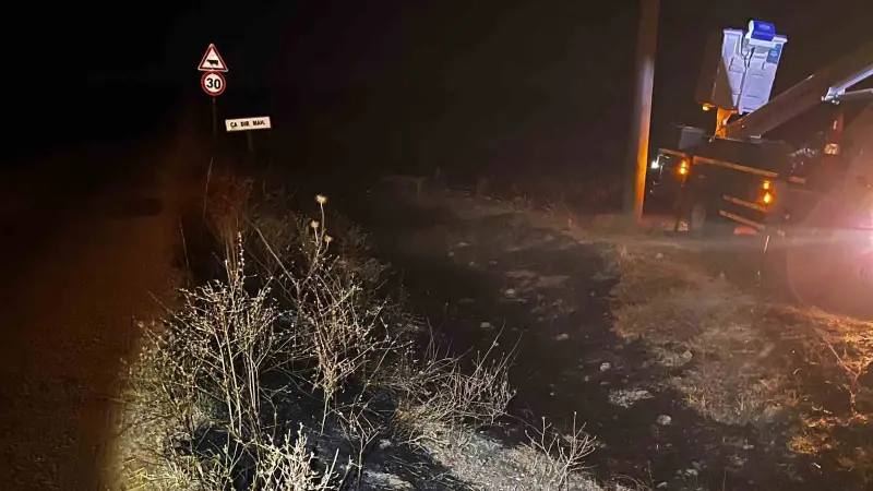 Sivrihisar’da elektrik tellerine çarpan kuş sonrası çıkan yangın söndürüldü