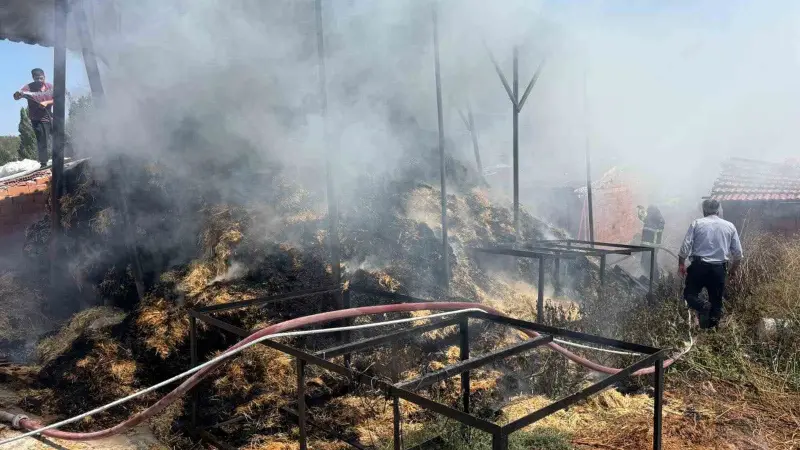 Bilecik’te iki köyde çıkan yangında çok miktarda saman balyası yandı