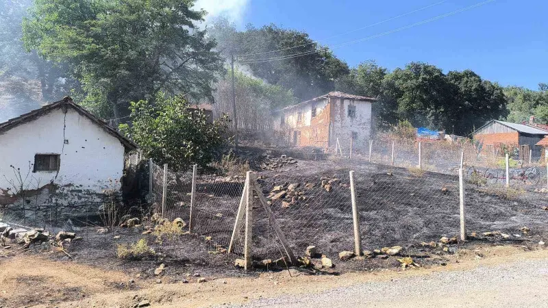 Bilecik’te orman yangınına sebebiyet veren şahıs gözaltına alındı